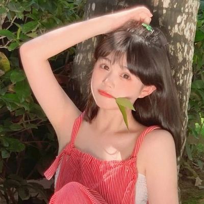 巴基斯坦官员：伊朗已收到美国提出的15点停火提议